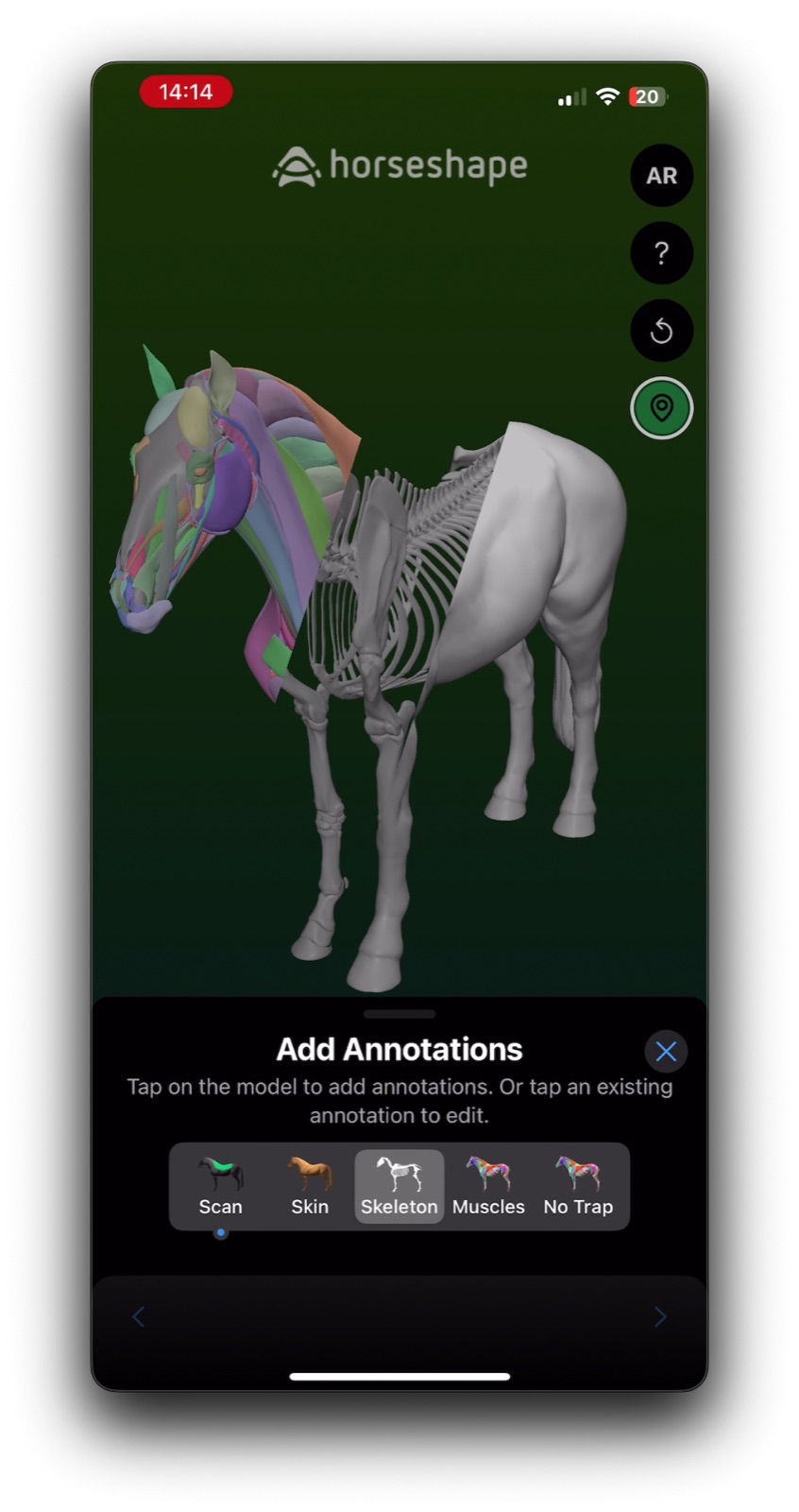 The 3D horse body model with Skeleton and Muscles view toggles