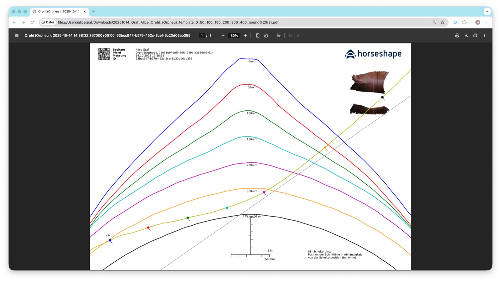 Standardized 2D cross-section templates for saddle fitting